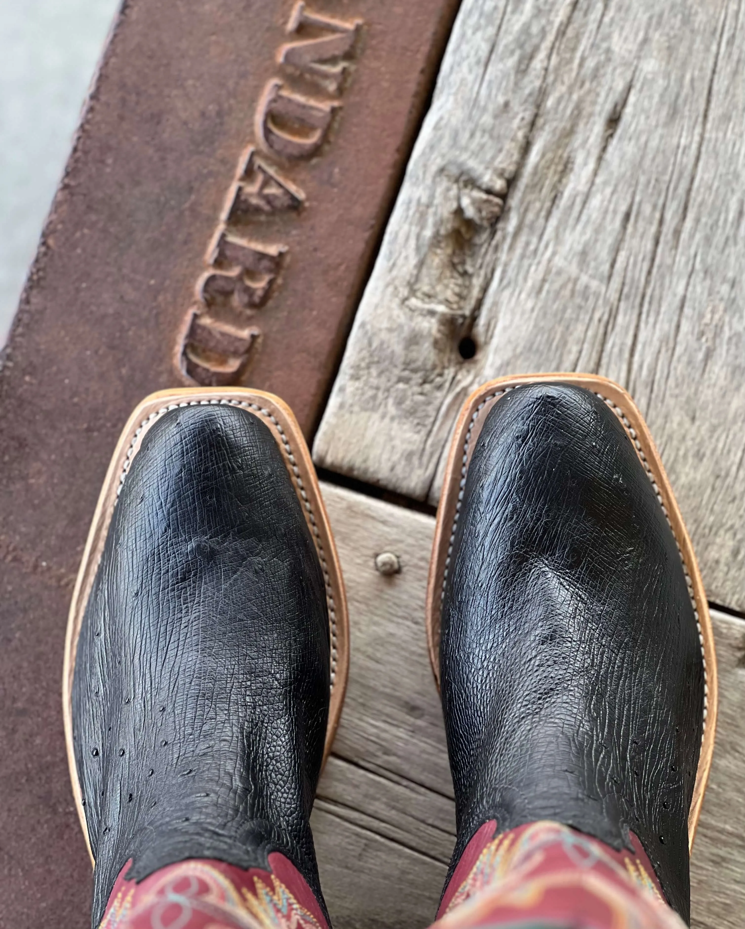 Fenoglio Boot Co. | Black Smooth Ostrich Cabernet Boot
