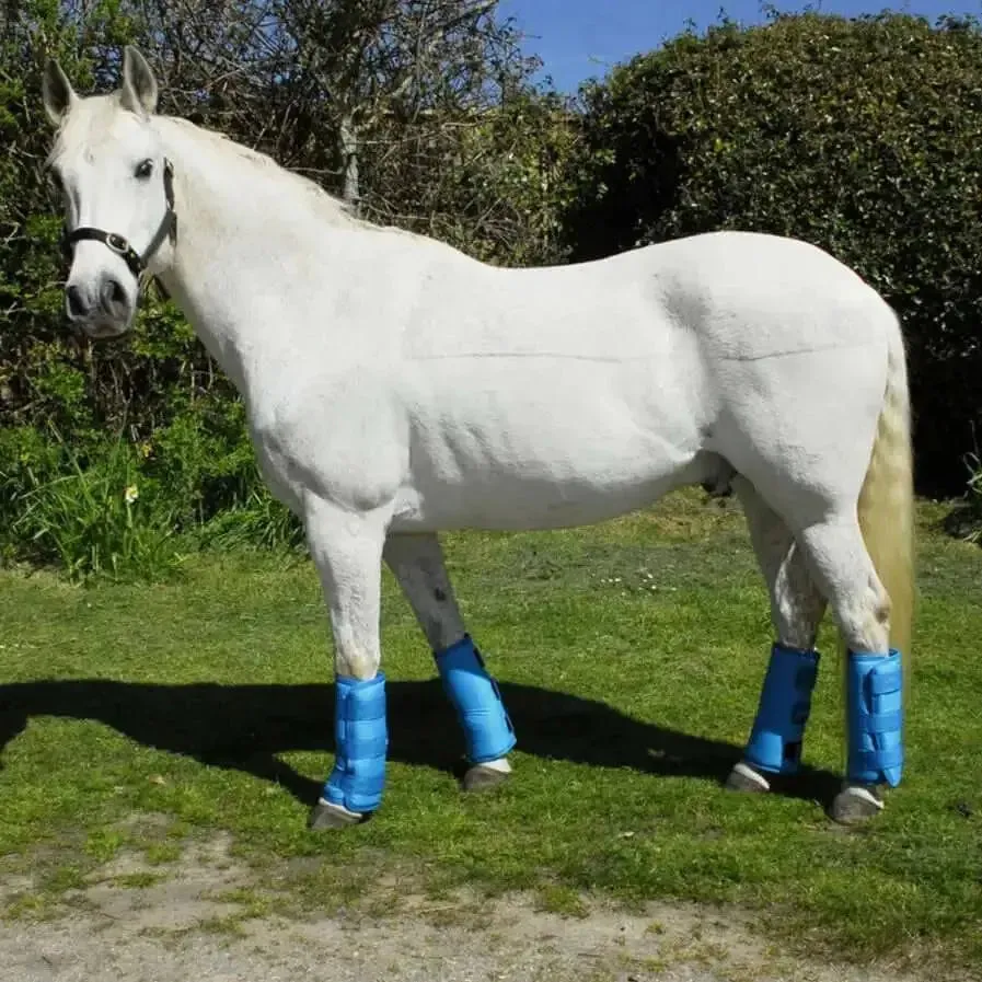 Rhinegold Elite Half Travel Boots